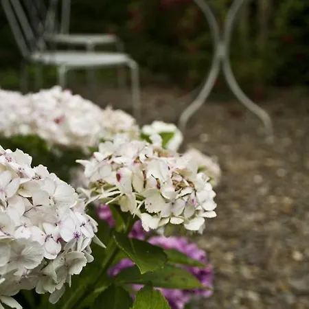 Oda ve Kahvaltı Herenhuis Elten. Elten